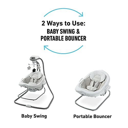 DuetConnect LX Swing & Bouncer (Redmond)